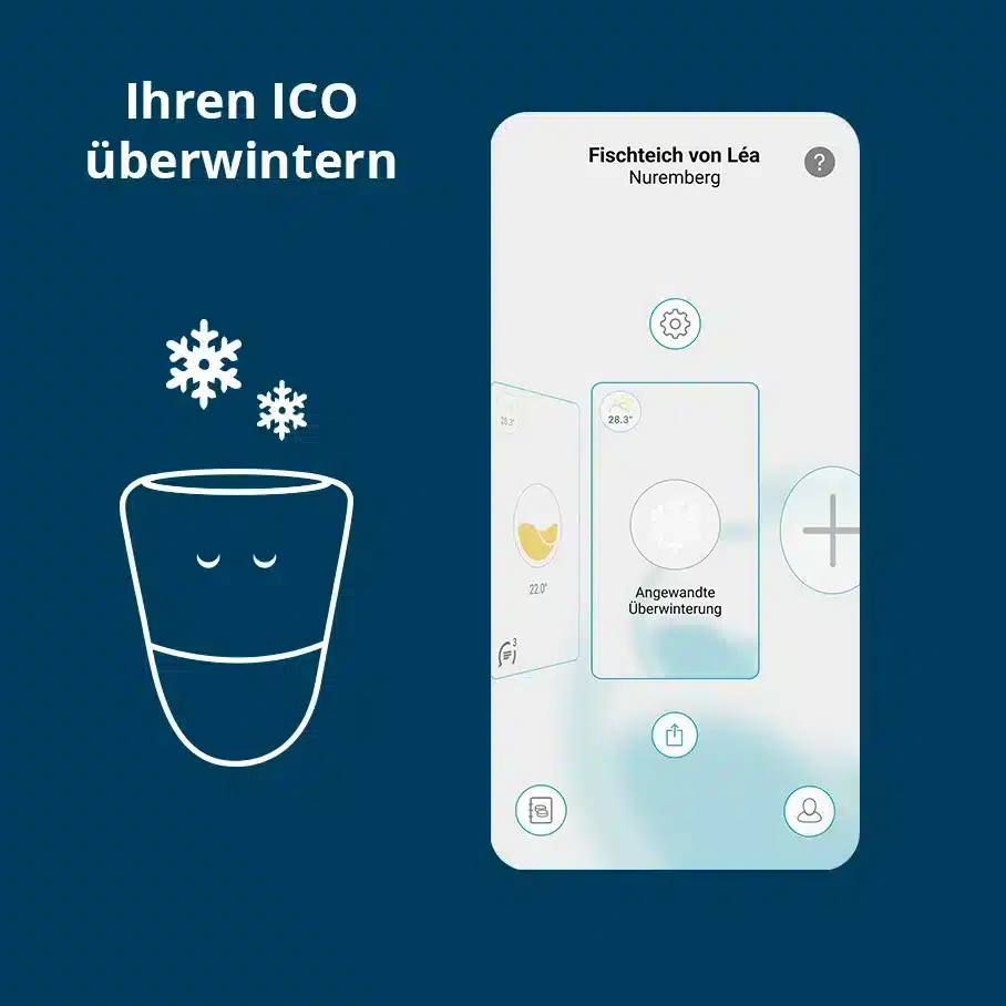 visuell überwintern der angeschlossenen Sonde ico pool 