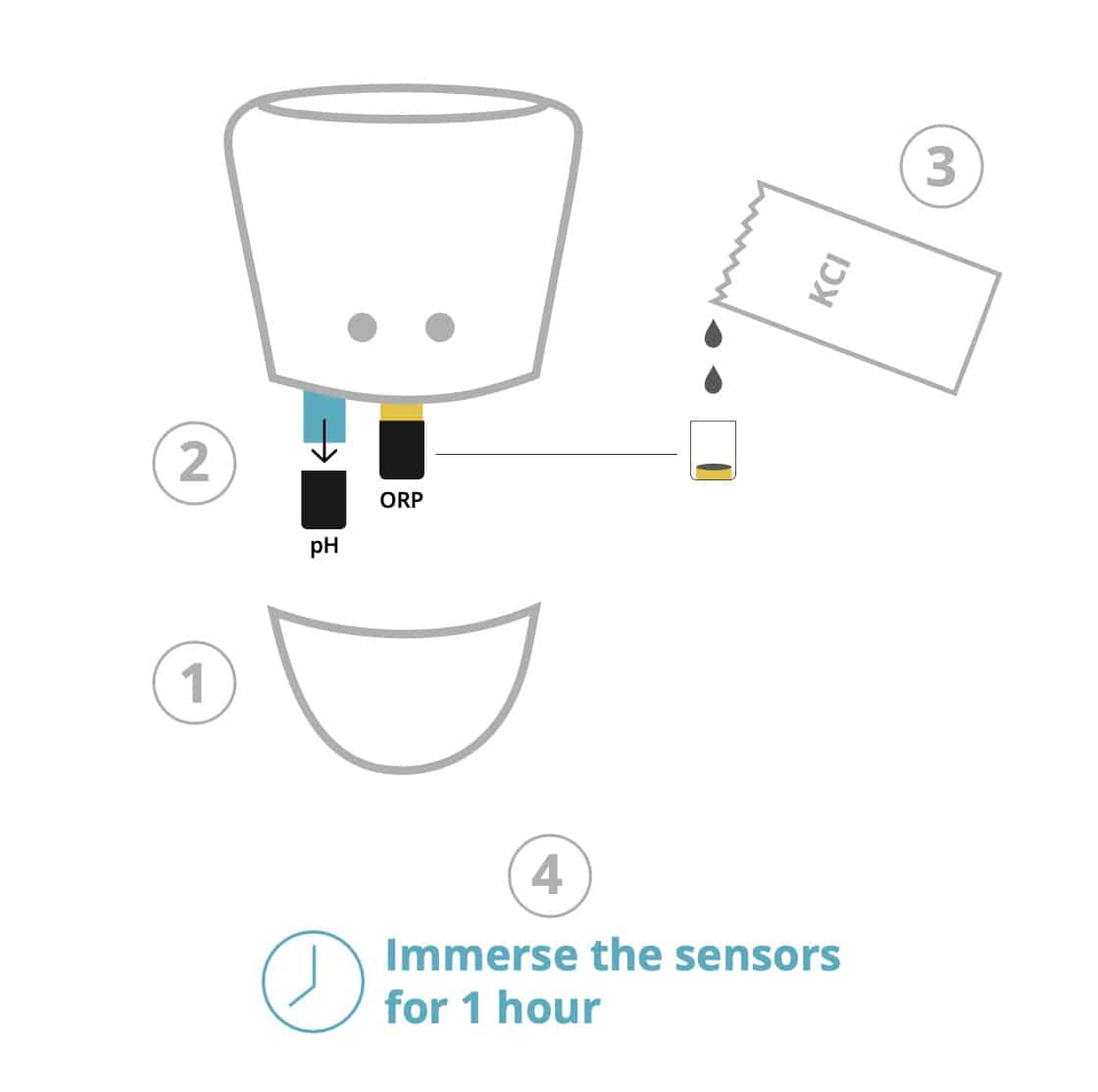 drawing to illustrate how to regenerate the ICO pH and ORP sensors when starting up ICO Pool or ICO Spa.