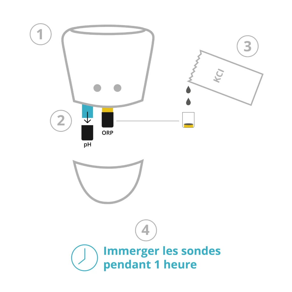 schéma pour illustrer la manipulation à faire pour régénérer les sondes pH et ORP de ICO lors de la mise en route de ICO Pool ou ICO Spa