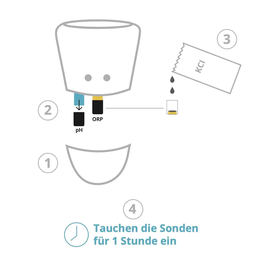 Schema zur Veranschaulichung der Handhabung zur Regenerierung der pH- und ORP-Sensoren von ICO bei der Inbetriebnahme von ICO Pool oder ICO Spa.