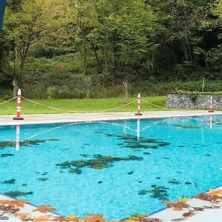 Illustrationsbild Swimmingpool im Herbst 